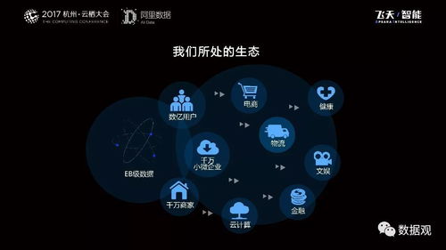 阿里数据服务产品开发与大数据体系演进 从平台构建到智能服务