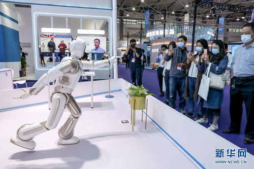 创新科技闪耀数博会 大数据服务赋能未来