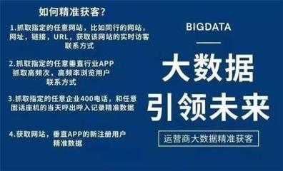 大数据获客服务电话与大数据服务 企业增长的新引擎